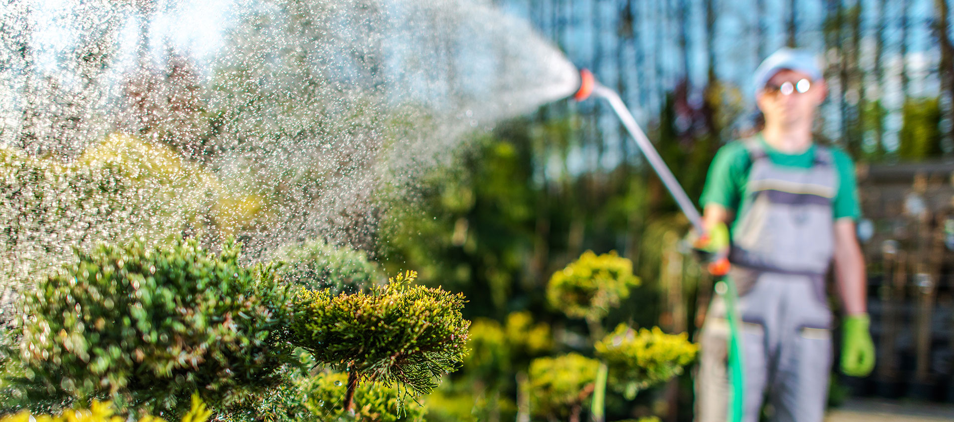 Red Rose Groundcare Landscaping Bolton Wigan Manchester
